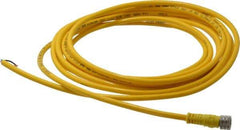 Brad Harrison - 3 Amp, M8 Female Straight to Pigtail Cordset Sensor and Receptacle - 60 VAC, 75 VDC, 4m Cable Length, IP68 Ingress Rating - Americas Industrial Supply