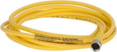Brad Harrison - 3 Amp, M8 Female Straight to Pigtail Cordset Sensor and Receptacle - 60 VAC, 75 VDC, 2m Cable Length, IP68 Ingress Rating - Americas Industrial Supply