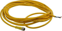 Brad Harrison - 3 Amp, M8 Female Straight to Pigtail Cordset Sensor and Receptacle - 60 VAC, 75 VDC, 5m Cable Length, IP68 Ingress Rating - Americas Industrial Supply