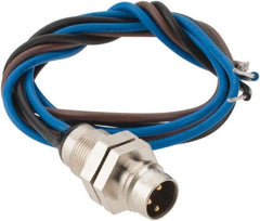 Brad Harrison - 4 Amp, M8 Male Straight Receptacle - 60 VAC, 75 VDC, 0.30m Cable Length, IP67 Ingress Rating - Americas Industrial Supply