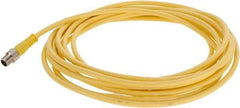 Brad Harrison - 4 Amp, Female 90° to Male 90° Cordset Sensor and Receptacle - 250 VAC/VDC, 4m Cable Length, IP68 Ingress Rating - Americas Industrial Supply