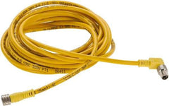 Brad Harrison - 4 Amp, Female 90° to Male 90° Cordset Sensor and Receptacle - 250 VAC/VDC, 4m Cable Length, IP68 Ingress Rating - Americas Industrial Supply