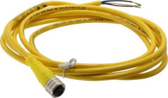 Brad Harrison - 4 Amp, M12 Female Straight to Pigtail Cordset Sensor and Receptacle - 250 VAC/VDC, 2m Cable Length, IP67 Ingress Rating - Americas Industrial Supply