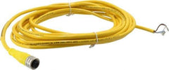 Brad Harrison - 4 Amp, M12 Female Straight to Pigtail Cordset Sensor and Receptacle - 250 VAC/VDC, 5m Cable Length, IP67 Ingress Rating - Americas Industrial Supply