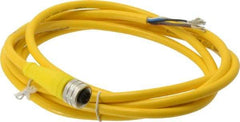 Brad Harrison - 4 Amp, M12 Female Straight to Pigtail Cordset Sensor and Receptacle - 250 VAC/VDC, 2m Cable Length, IP67 Ingress Rating - Americas Industrial Supply