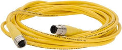 Brad Harrison - 4 Amp, M12 Male Straight to Female Straight Cordset Sensor and Receptacle - 250 VAC/VDC, 4m Cable Length, IP67 Ingress Rating - Americas Industrial Supply