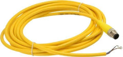 Brad Harrison - Male Straight Cordset Sensor and Receptacle - 250 VAC/VDC, 4m Cable Length, IP68 Ingress Rating - Americas Industrial Supply
