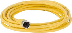 Brad Harrison - Female Straight Cordset Sensor and Receptacle - 250 VAC/VDC, 4m Cable Length, IP68 Ingress Rating - Americas Industrial Supply