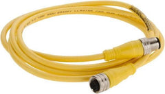 Brad Harrison - Female to Male Cordset Sensor and Receptacle - 250 VAC/VDC, 2m Cable Length, IP68 Ingress Rating - Americas Industrial Supply