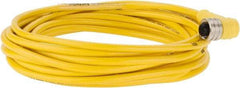 Brad Harrison - 4 Amp, M12 Female 90° to Pigtail Cordset Sensor and Receptacle - 250 VAC/VDC, 5m Cable Length, IP67 Ingress Rating - Americas Industrial Supply