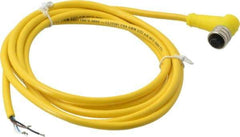 Brad Harrison - 4 Amp, M12 Female 90° to Pigtail Cordset Sensor and Receptacle - 250 VAC/VDC, 2m Cable Length, IP67 Ingress Rating - Americas Industrial Supply