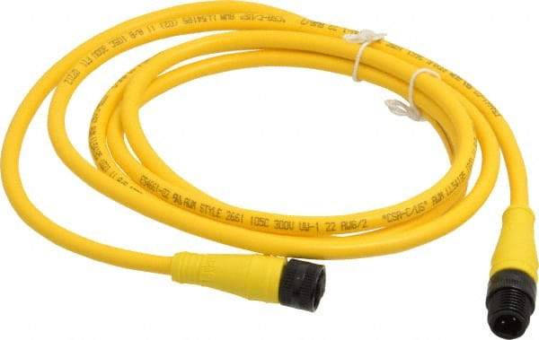 Brad Harrison - Female to Male Cordset Sensor and Receptacle - 250 VAC/VDC, 6 Ft. Long Cable, IP68 Ingress Rating - Americas Industrial Supply