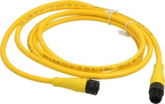 Brad Harrison - Female to Male Cordset Sensor and Receptacle - 250 VAC/VDC, 6 Ft. Long Cable, IP68 Ingress Rating - Americas Industrial Supply