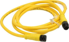 Brad Harrison - Female to Male Cordset Sensor and Receptacle - 250 VAC/VDC, 6 Ft. Long Cable, IP68 Ingress Rating - Americas Industrial Supply