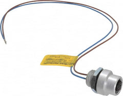 Brad Harrison - 4 Amp, 1/2-20 UNF Female Straight Receptacle - 250 VAC/VDC, 0.31m Cable Length, IP67 Ingress Rating - Americas Industrial Supply