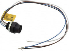 Brad Harrison - 4 Amp, M12 Female Straight Receptacle - 250 VAC/VDC, 0.31m Cable Length, IP67 Ingress Rating - Americas Industrial Supply