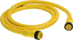 Brad Harrison - 7 Amp, Female Straight, Male Straight Cordset Sensor and Receptacle - 600 Volt, 1.83m Cable Length, IP67 Ingress Rating - Americas Industrial Supply