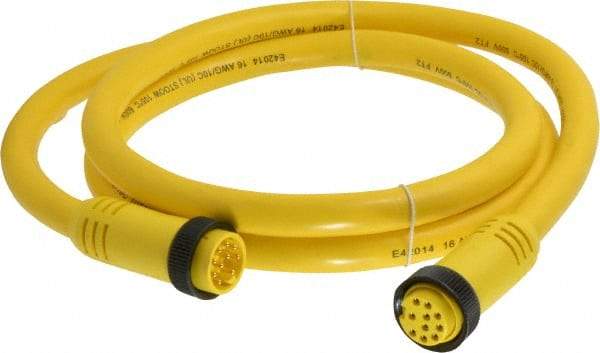 Brad Harrison - 7 Amp, Female Straight, Male Straight Cordset Sensor and Receptacle - 600 Volt, 1.83m Cable Length, IP67 Ingress Rating - Americas Industrial Supply