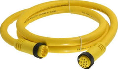 Brad Harrison - 7 Amp, Female Straight, Male Straight Cordset Sensor and Receptacle - 600 Volt, 1.83m Cable Length, IP67 Ingress Rating - Americas Industrial Supply