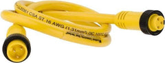 Brad Harrison - 13 Amp, Female Straight, Male Straight Cordset Sensor and Receptacle - 600 Volt, 0.91m Cable Length, IP67 Ingress Rating - Americas Industrial Supply