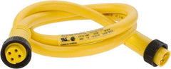 Brad Harrison - 10 Amp, Female Straight, Male Straight Cordset Sensor and Receptacle - 600 Volt, 0.91m Cable Length, IP67 Ingress Rating - Americas Industrial Supply