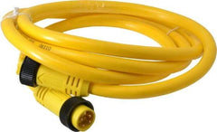 Brad Harrison - 10 Amp, Female Straight, Male Straight Cordset Sensor and Receptacle - 600 Volt, 1.83m Cable Length, IP67 Ingress Rating - Americas Industrial Supply
