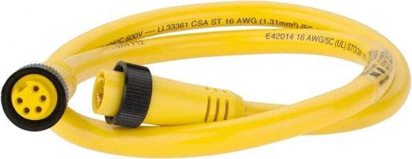 Brad Harrison - 8 Amp, Female Straight, Male Straight Cordset Sensor and Receptacle - 600 Volt, 0.91m Cable Length, IP67 Ingress Rating - Americas Industrial Supply