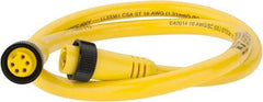 Brad Harrison - 8 Amp, Female Straight, Male Straight Cordset Sensor and Receptacle - 600 Volt, 0.91m Cable Length, IP67 Ingress Rating - Americas Industrial Supply