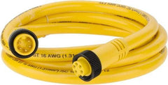 Brad Harrison - 8 Amp, Female Straight, Male Straight Cordset Sensor and Receptacle - 600 Volt, 1.83m Cable Length, IP67 Ingress Rating - Americas Industrial Supply