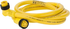 Brad Harrison - 8 Amp, Female 90° to Male 90° Cordset Sensor and Receptacle - 600 VAC/VDC, 6 Ft. Long Cable, IP68 Ingress Rating - Americas Industrial Supply