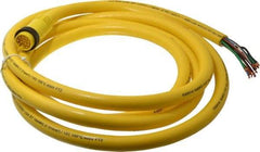 Brad Harrison - 5 Amp, Male Straight to Pigtail Cordset Sensor and Receptacle - 600 Volt, 3.66m Cable Length, IP67 Ingress Rating - Americas Industrial Supply