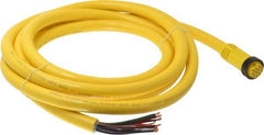 Brad Harrison - 5 Amp, Female Straight to Pigtail Cordset Sensor and Receptacle - 600 Volt, 3.66m Cable Length, IP67 Ingress Rating - Americas Industrial Supply