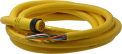 Brad Harrison - 7 Amp, Male Straight to Pigtail Cordset Sensor and Receptacle - 600 Volt, 3.66m Cable Length, IP67 Ingress Rating - Americas Industrial Supply