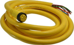 Brad Harrison - 7 Amp, Female Straight to Pigtail Cordset Sensor and Receptacle - 600 Volt, 3.66m Cable Length, IP67 Ingress Rating - Americas Industrial Supply
