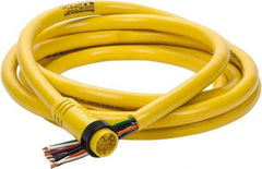 Brad Harrison - 7 Amp, Male Straight to Pigtail Cordset Sensor and Receptacle - 600 Volt, 3.66m Cable Length, IP67 Ingress Rating - Americas Industrial Supply