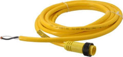 Brad Harrison - 13 Amp, Male Straight to Pigtail Cordset Sensor and Receptacle - 600 Volt, 3.66m Cable Length, IP67 Ingress Rating - Americas Industrial Supply