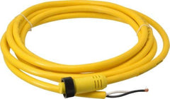 Brad Harrison - 13 Amp, Female Straight to Pigtail Cordset Sensor and Receptacle - 600 Volt, 3.66m Cable Length, IP67 Ingress Rating - Americas Industrial Supply