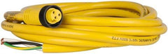Brad Harrison - 13 Amp, Female Straight to Pigtail Cordset Sensor and Receptacle - 600 Volt, 3.66m Cable Length, IP67 Ingress Rating - Americas Industrial Supply