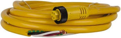 Brad Harrison - 10 Amp, Female Straight to Pigtail Cordset Sensor and Receptacle - 600 Volt, 3.66m Cable Length, IP67 Ingress Rating - Americas Industrial Supply