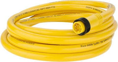 Brad Harrison - 8 Amp, Male Straight to Pigtail Cordset Sensor and Receptacle - 600 Volt, 3.66m Cable Length, IP67 Ingress Rating - Americas Industrial Supply