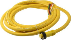 Brad Harrison - 8 Amp, Female Straight to Pigtail Cordset Sensor and Receptacle - 600 Volt, 3.66m Cable Length, IP67 Ingress Rating - Americas Industrial Supply