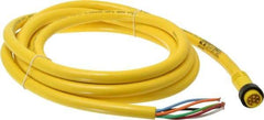 Brad Harrison - 8 Amp, Male Straight to Pigtail Cordset Sensor and Receptacle - 600 Volt, 3.66m Cable Length, IP67 Ingress Rating - Americas Industrial Supply