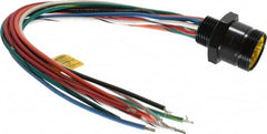 Brad Harrison - 7 Amp, Male Straight Receptacle - 600 VAC/VDC, 0.31m Cable Length, IP67 Ingress Rating - Americas Industrial Supply