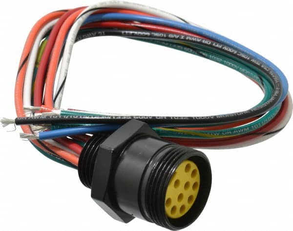 Brad Harrison - 7 Amp, Female Straight Receptacle - 600 VAC/VDC, 0.31m Cable Length, IP67 Ingress Rating - Americas Industrial Supply