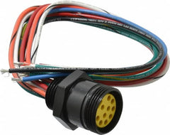 Brad Harrison - 7 Amp, Female Straight Receptacle - 600 VAC/VDC, 0.31m Cable Length, IP67 Ingress Rating - Americas Industrial Supply