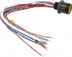 Brad Harrison - 5 Amp, Male Straight Receptacle - 600 VAC/VDC, 0.31m Cable Length, IP67 Ingress Rating - Americas Industrial Supply