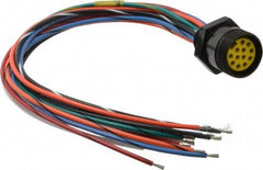 Brad Harrison - 8 Amp, Female Straight Receptacle - 600 VAC/VDC, 0.31m Cable Length, IP67 Ingress Rating - Americas Industrial Supply
