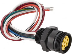 Brad Harrison - 8 Amp, Female Straight Receptacle - 600 VAC/VDC, 0.31m Cable Length, IP67 Ingress Rating - Americas Industrial Supply