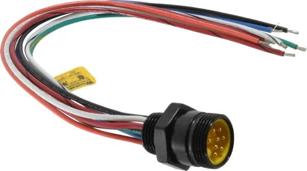 Brad Harrison - 7 Amp, Male Straight Receptacle - 600 VAC/VDC, 0.31m Cable Length, IP67 Ingress Rating - Americas Industrial Supply