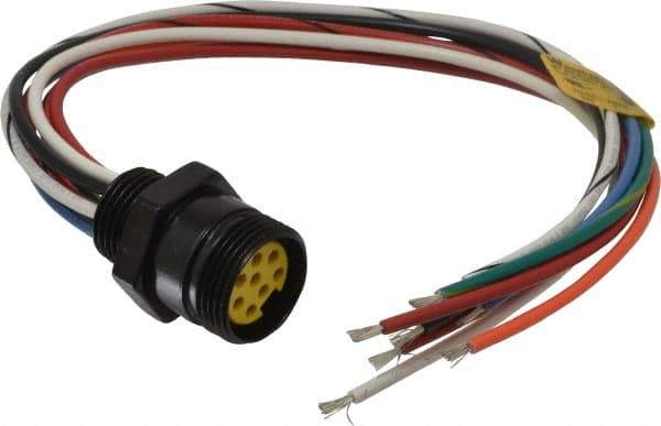 Brad Harrison - 7 Amp, Female Straight Receptacle - 600 VAC/VDC, 0.31m Cable Length, IP67 Ingress Rating - Americas Industrial Supply